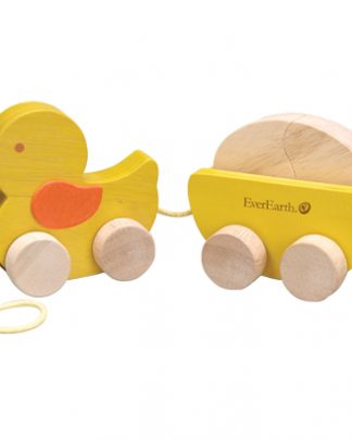 Wooden Pull / Push Along Toys
